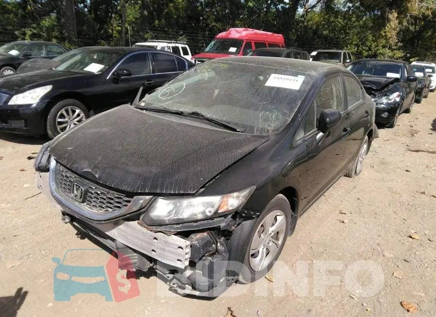 19XFB2F55FE049357 Photo# 2
