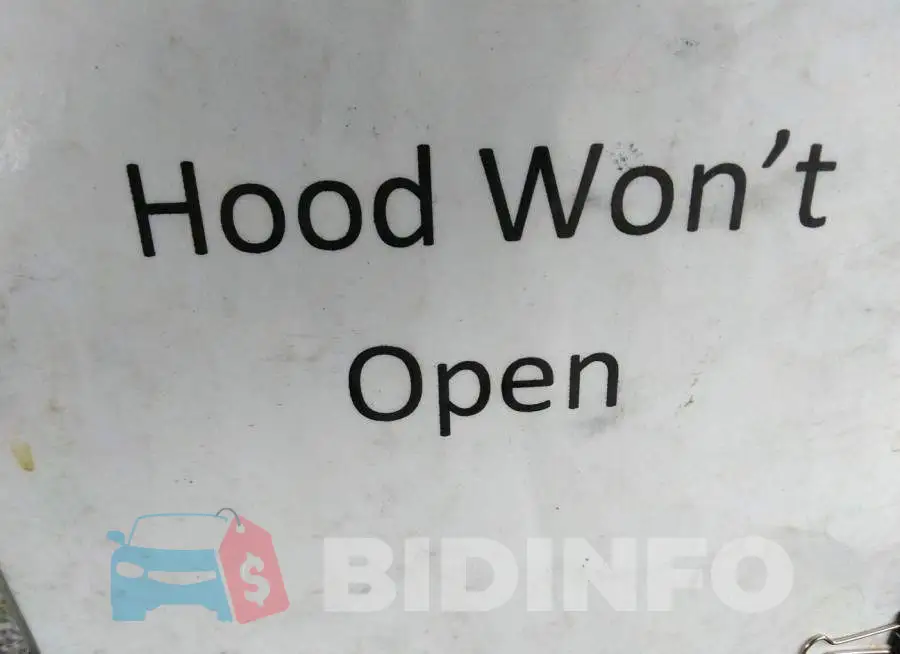 1N6DD0FR0HN716632 Photo# 10