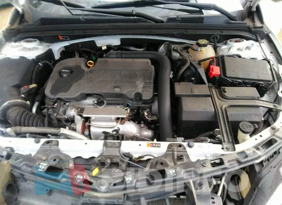 1G1ZD5ST2KF135909 Photo# 10