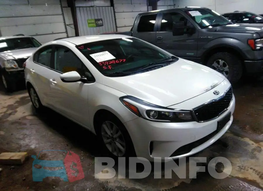 3KPFL4A70HE132067 Photo# 1