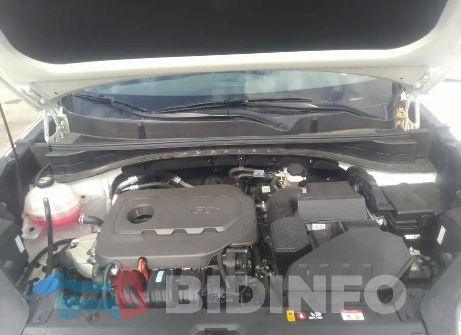 KNDPMCAC5M7943513 Photo# 10
