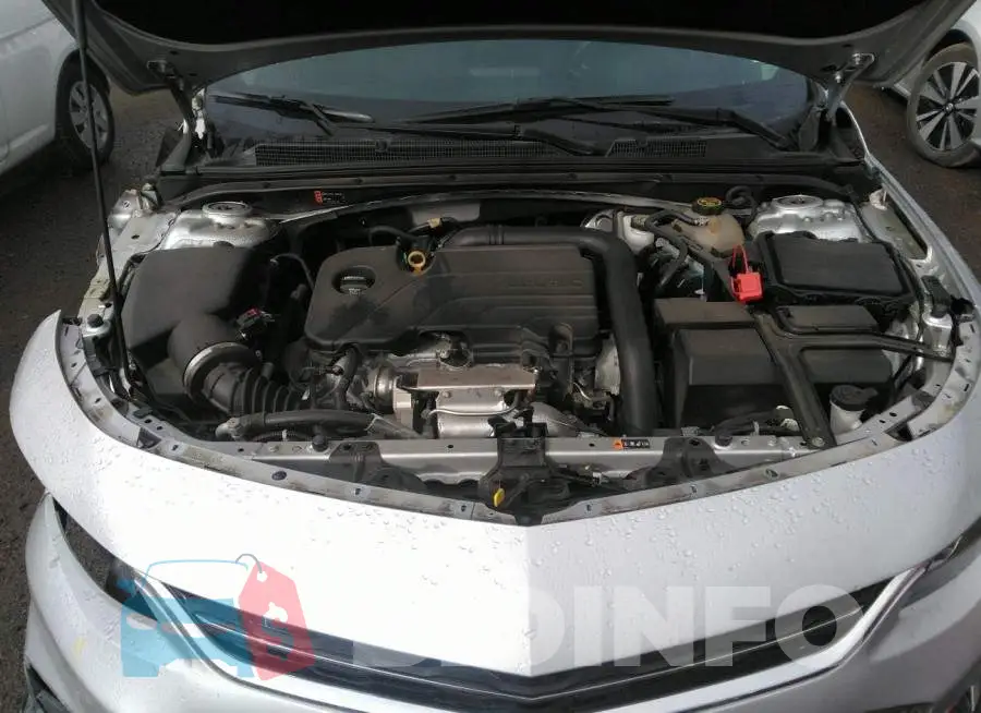 1G1ZD5ST6JF202798 Photo# 10