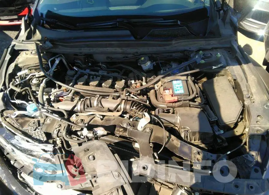 1HGCV1F38MA060759 Photo# 10