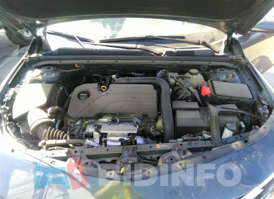 1G1ZD5ST9LF014702 Photo# 10