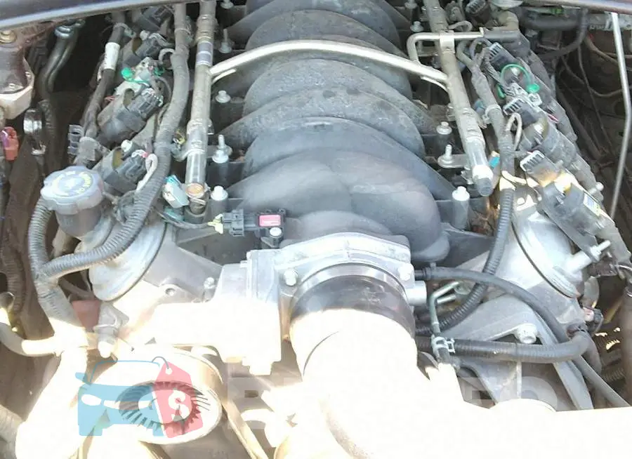 2G1FJ1EW2F9284846 Photo# 6