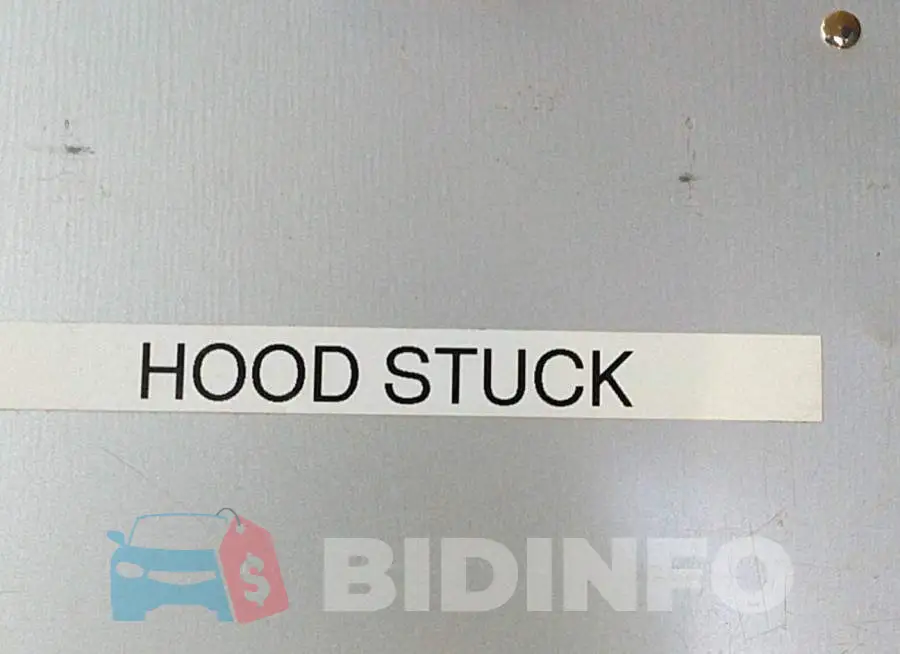 1FMCU0GD3HUC10439 Photo# 10
