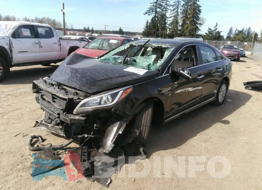 KMHE24L16HA059406 Photo# 2