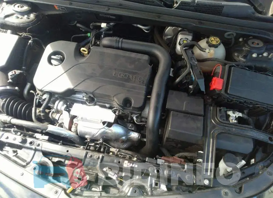 1G1ZD5ST5JF180521 Photo# 10