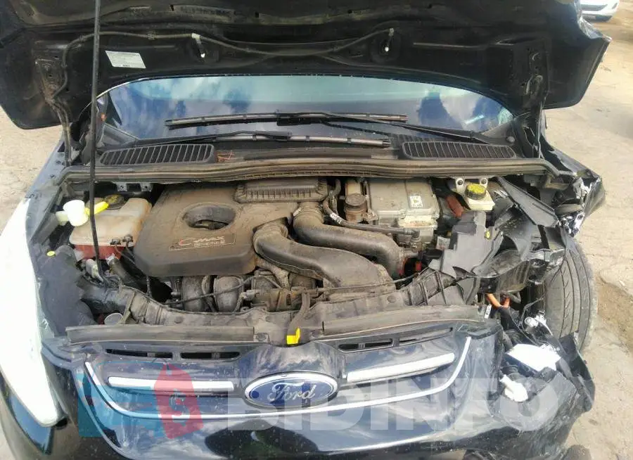 1FADP5CU2GL112323 Photo# 10