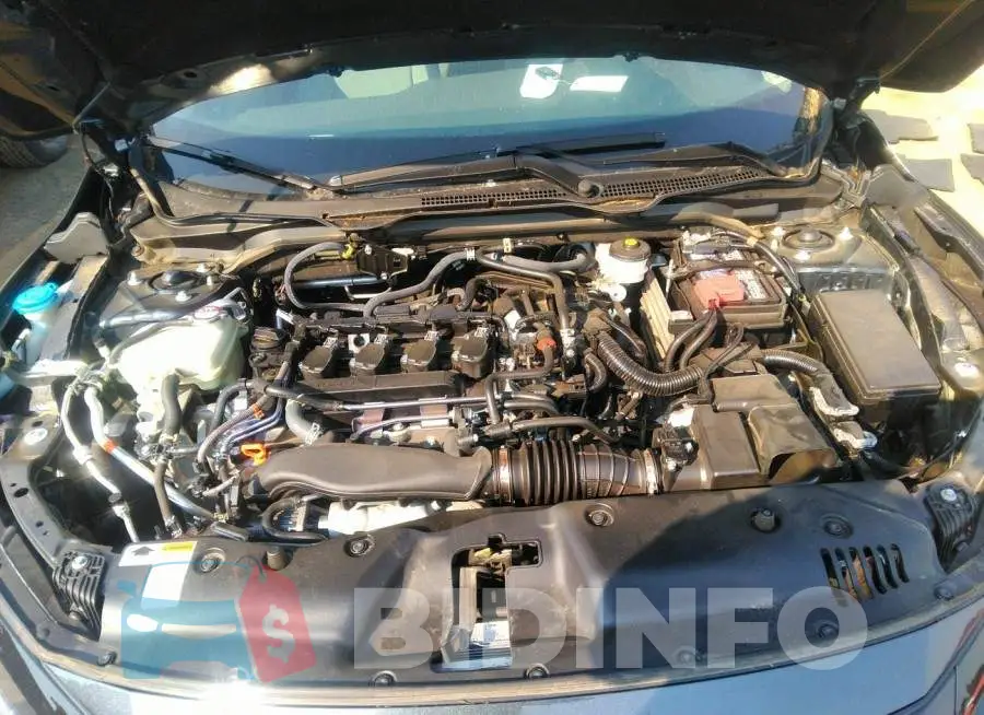 19XFC1F31ME207941 Photo# 10