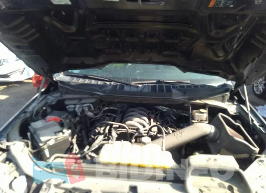 1FTMF1C59MKD48113 Photo# 10