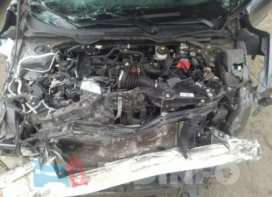 19XFC1F30LE203717 Photo# 10