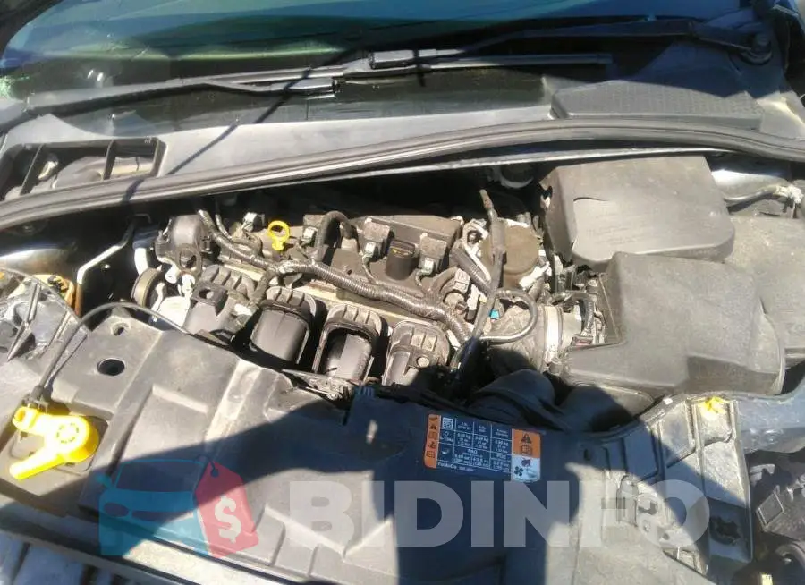 1FADP3F29GL200686 Photo# 10