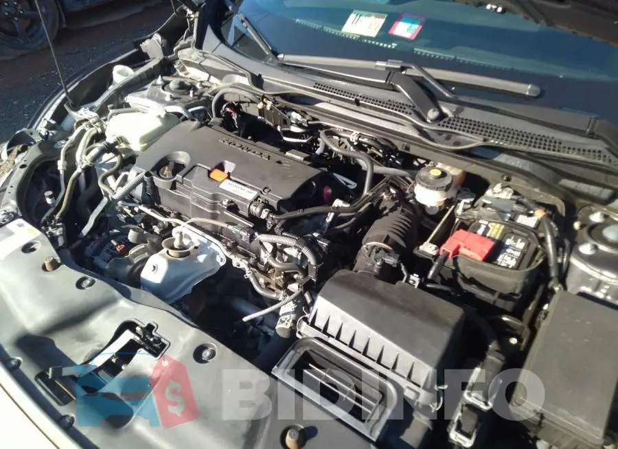 19XFC2F53GE020941 Photo# 10