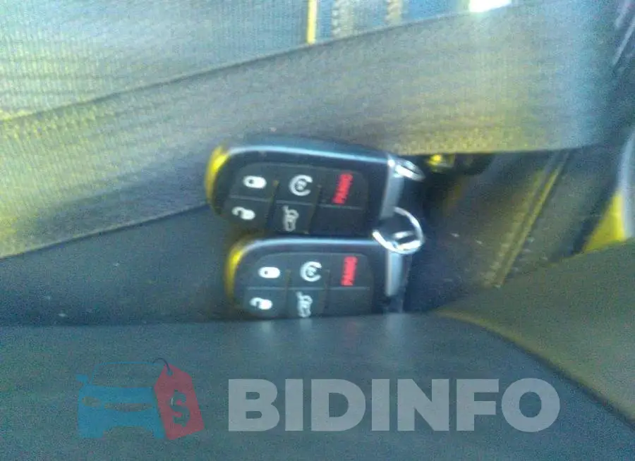 1C4RJFBG4LC363017 Photo# 11