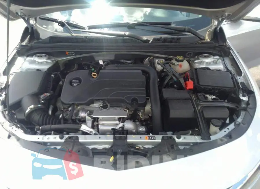 1G1ZD5ST8KF167828 Photo# 10