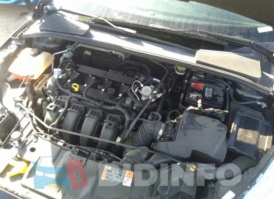 1FADP3E22GL360331 Photo# 10