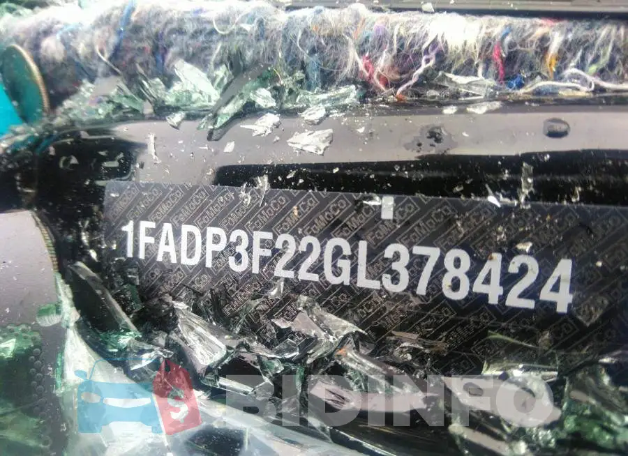 1FADP3F22GL378424 Photo# 9