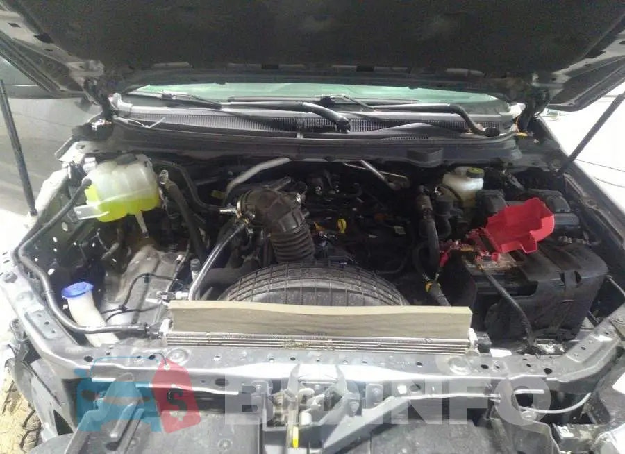 1FTER4FH9MLD49310 Photo# 10