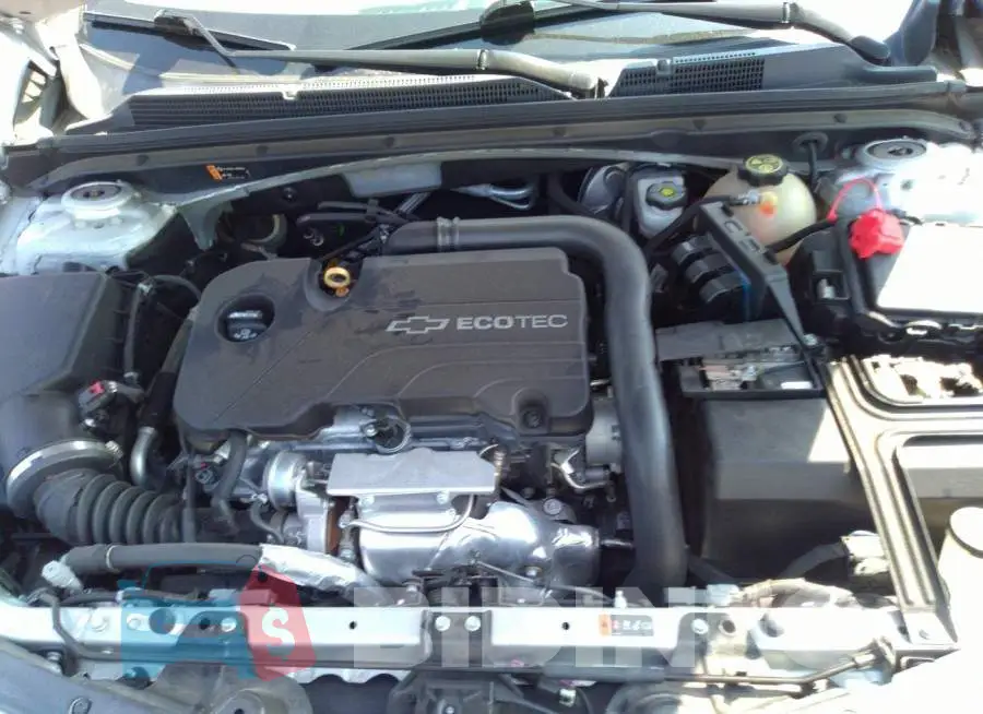 1G1ZB5ST2HF292953 Photo# 10