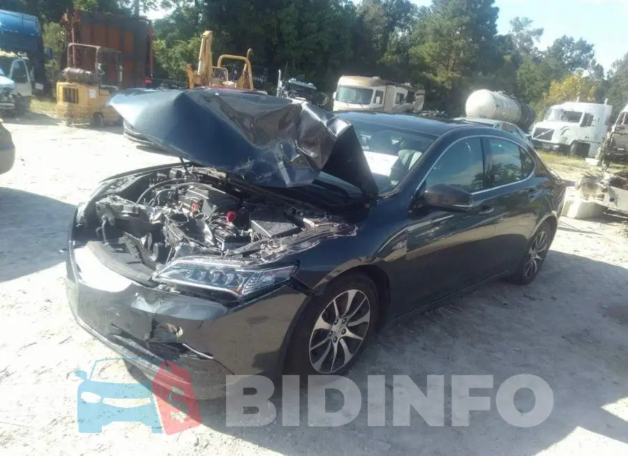 19UUB1F35FA005346 Photo# 2