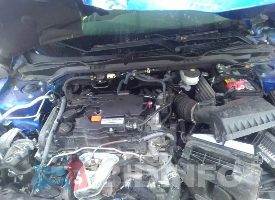 19XFC2F54HE069065 Photo# 10