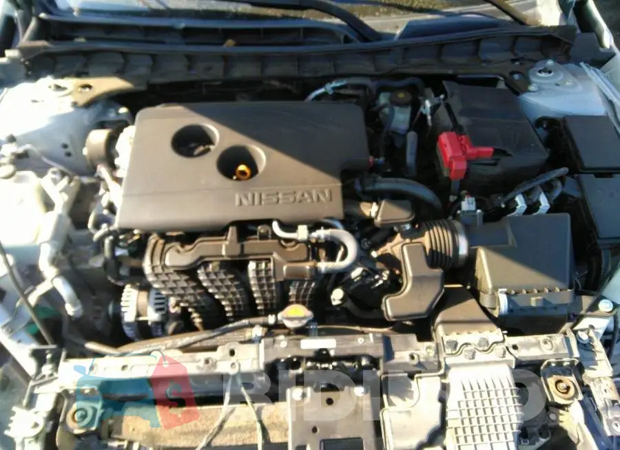 1N4BL4EV7KC156233 Photo# 10