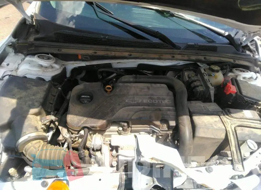 1G1ZE5ST2HF208850 Photo# 10