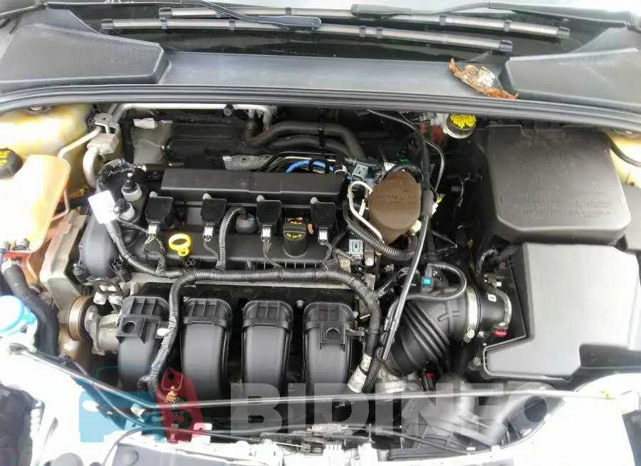 1FADP3F25GL280665 Photo# 10