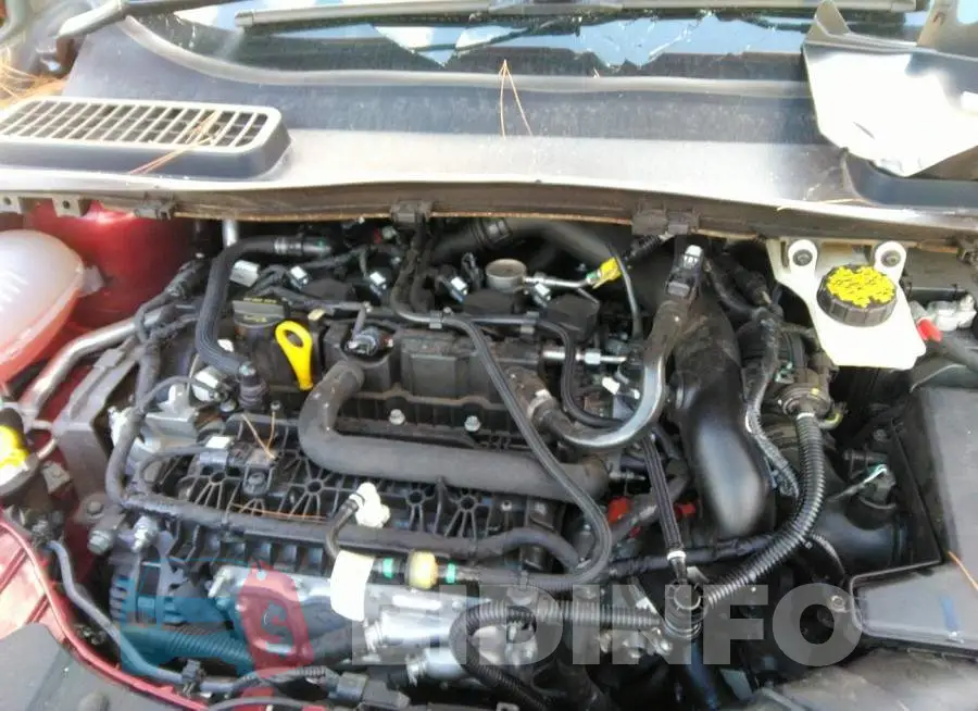 1FMCU0GD5KUB99032 Photo# 10