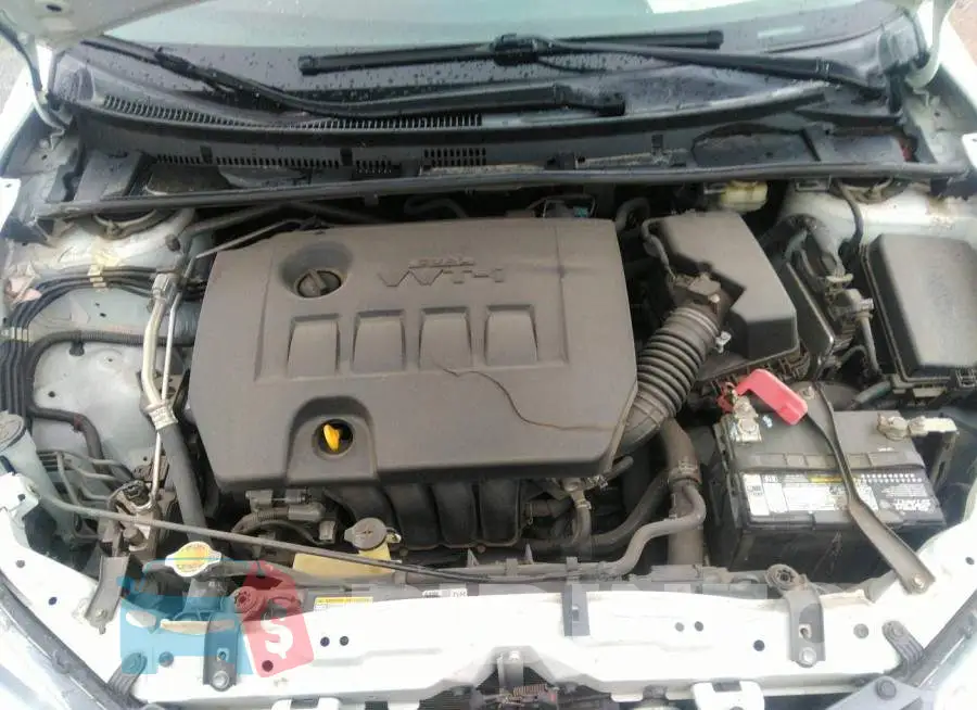 5YFBURHEXGP432841 Photo# 10