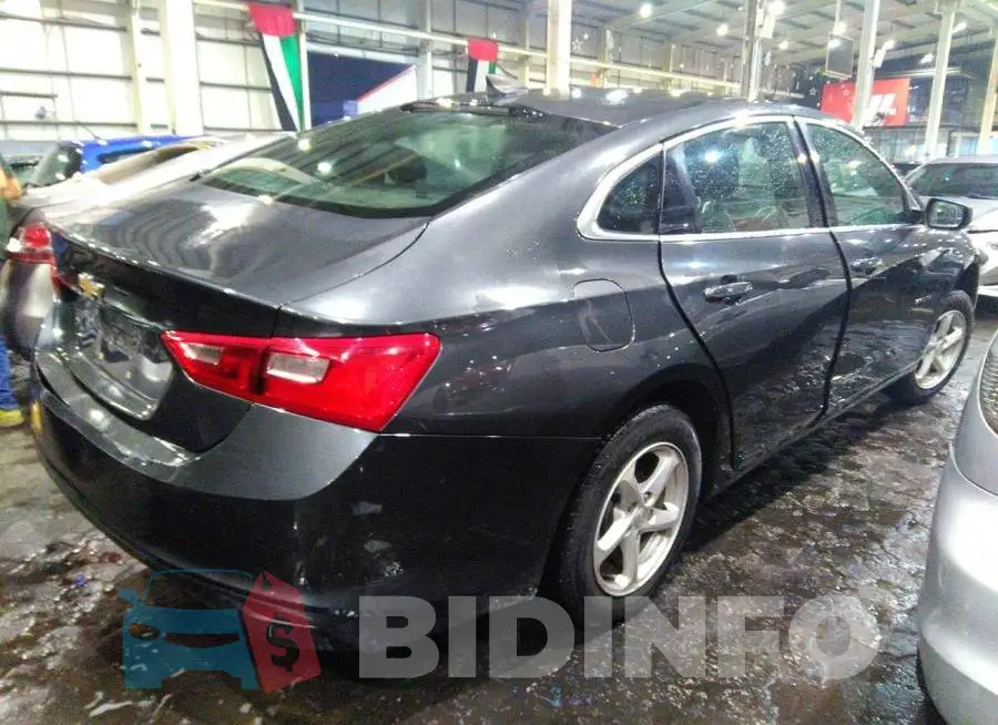 001ZB5ST0HF221542 Photo# 4
