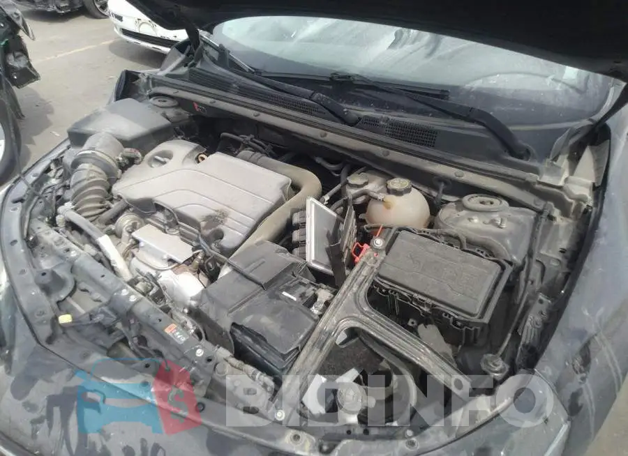 1G1ZB5ST3HF291987 Photo# 10
