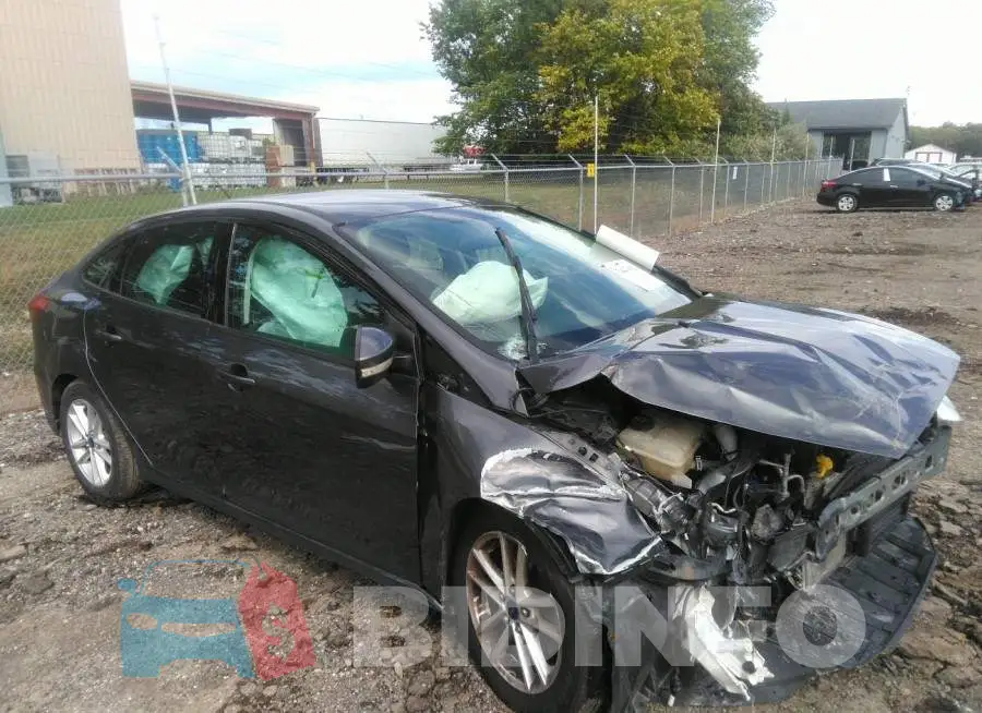 1FADP3F24FL200920 Photo# 1