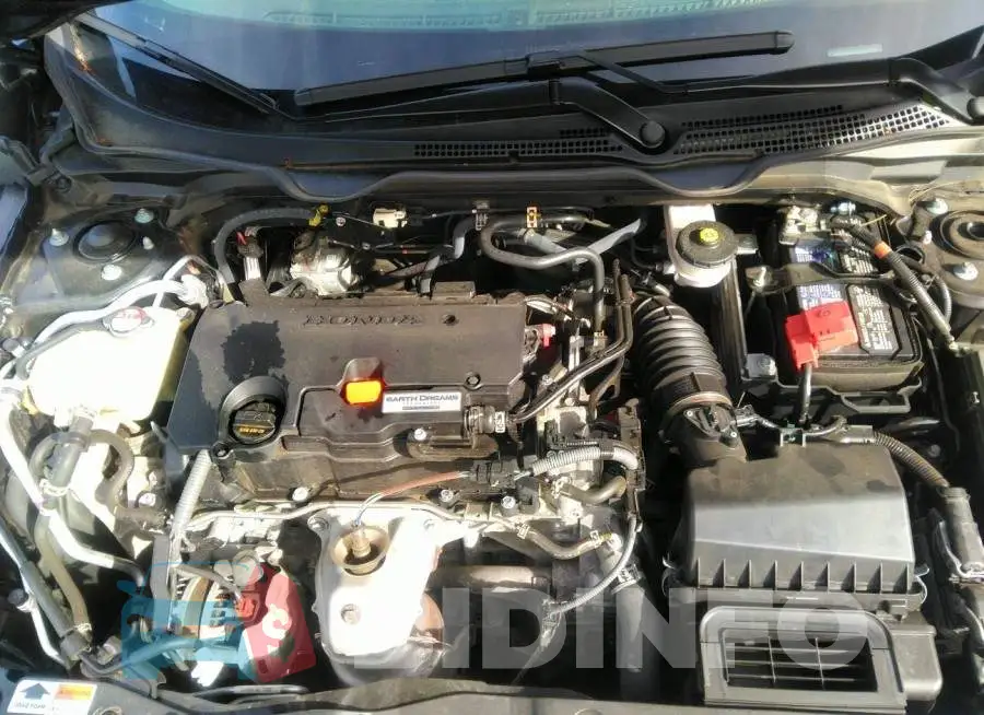 19XFC2F66LE215435 Photo# 10