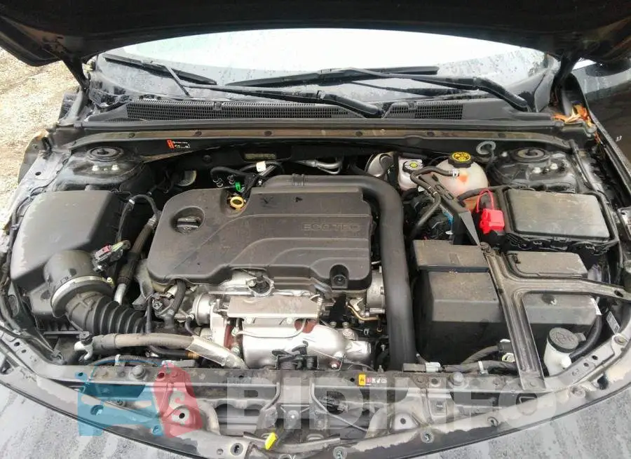 1G1ZD5ST5MF007148 Photo# 10