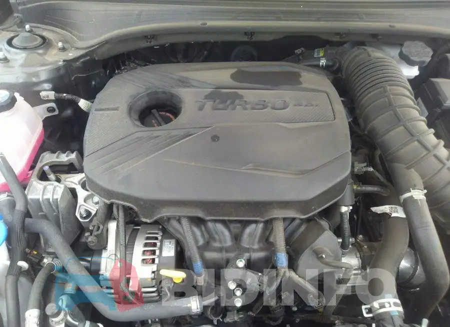 3KPF44AC1ME417543 Photo# 10