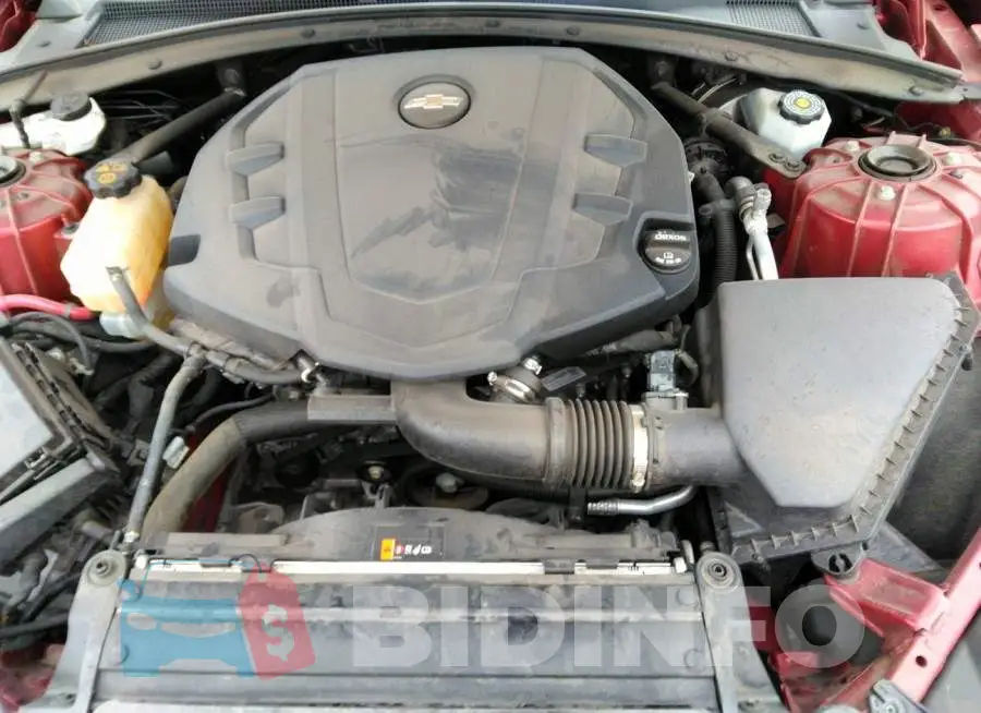 1G1FB1RS4K0115047 Photo# 10