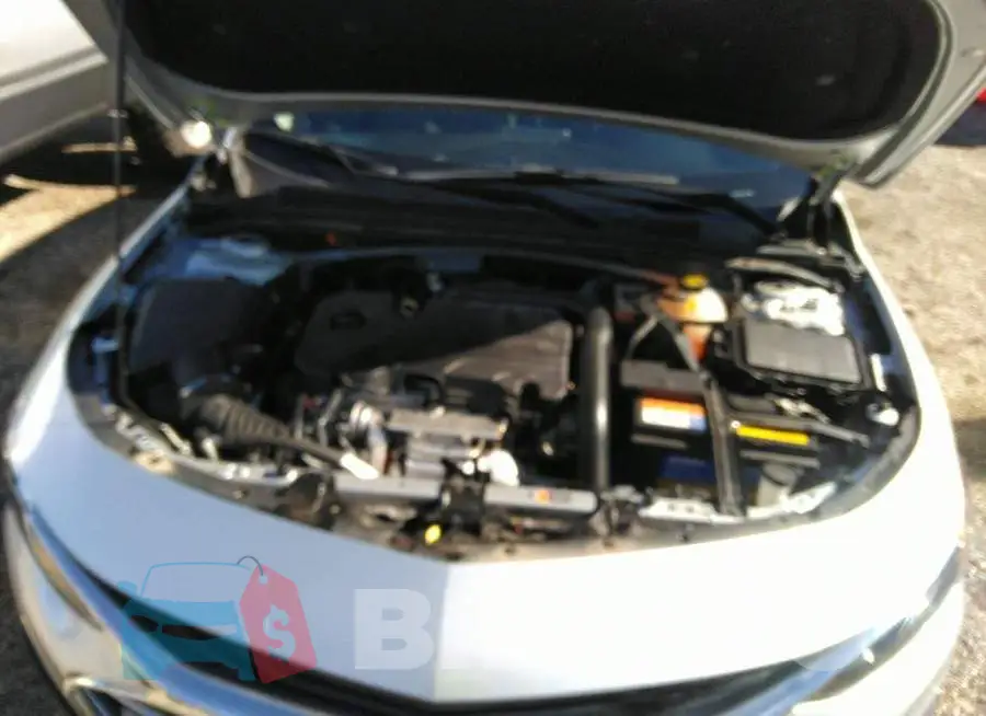 1G1ZD5ST8MF004213 Photo# 10