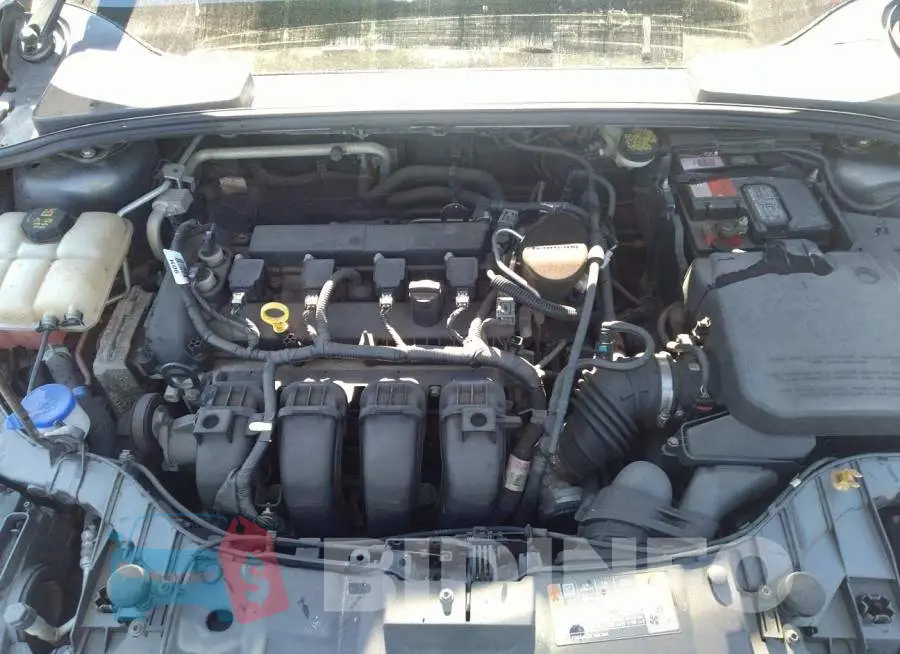 1FADP3F29FL332829 Photo# 10