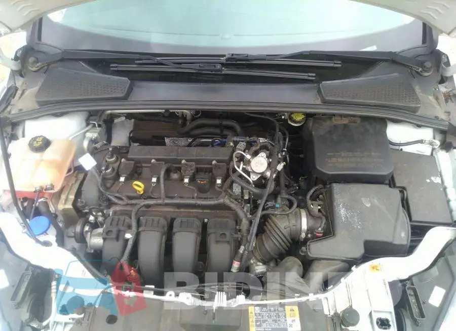 1FADP3E25GL335231 Photo# 10