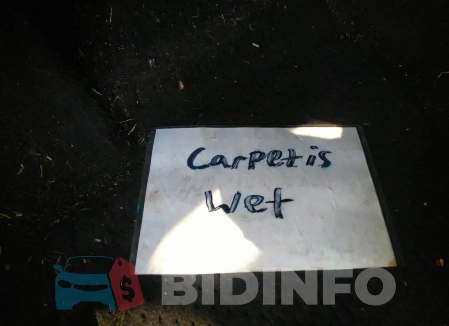 1FADP3F20GL220812 Photo# 6