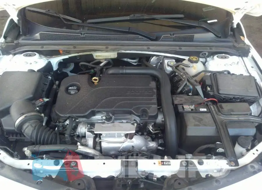 1G1ZD5ST0JF248417 Photo# 10