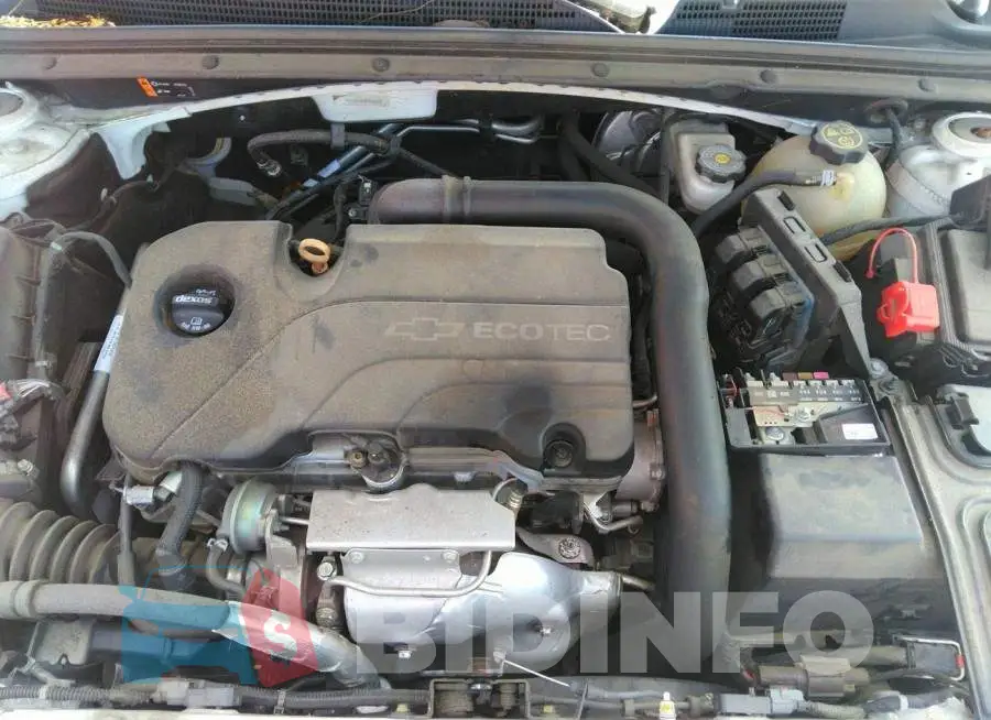 1G1ZB5ST4GF350558 Photo# 10