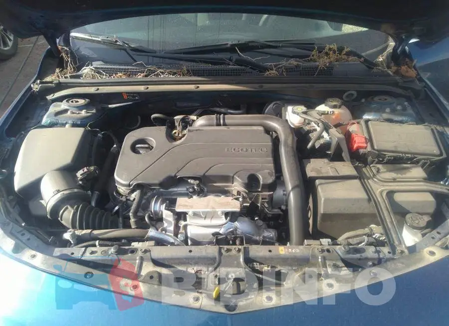 1G1ZD5ST9KF123286 Photo# 10