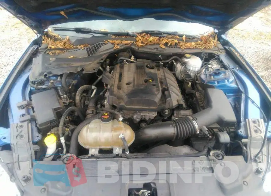 1FA6P8THXJ5162007 Photo# 10