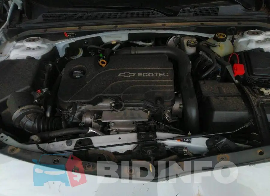 1G1ZD5ST4JF172961 Photo# 10