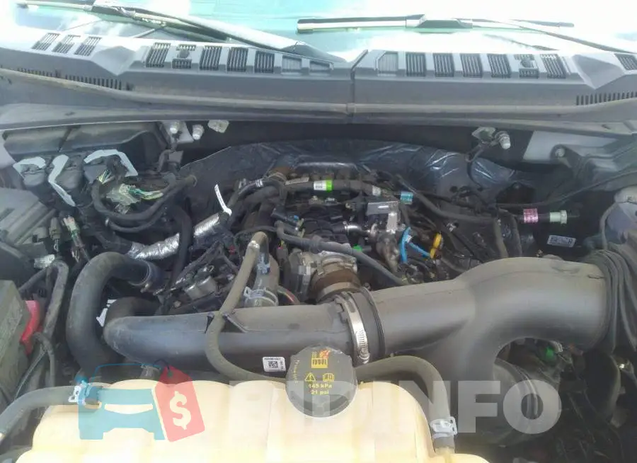 1FTEW1EP2KKC10039 Photo# 10