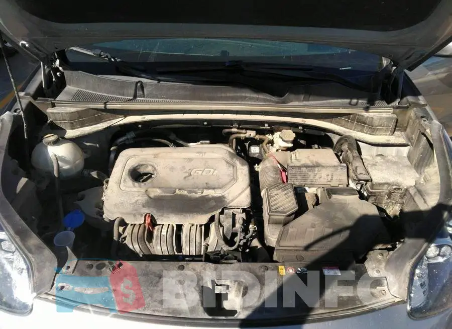 KNDPMCAC5L7677652 Photo# 10