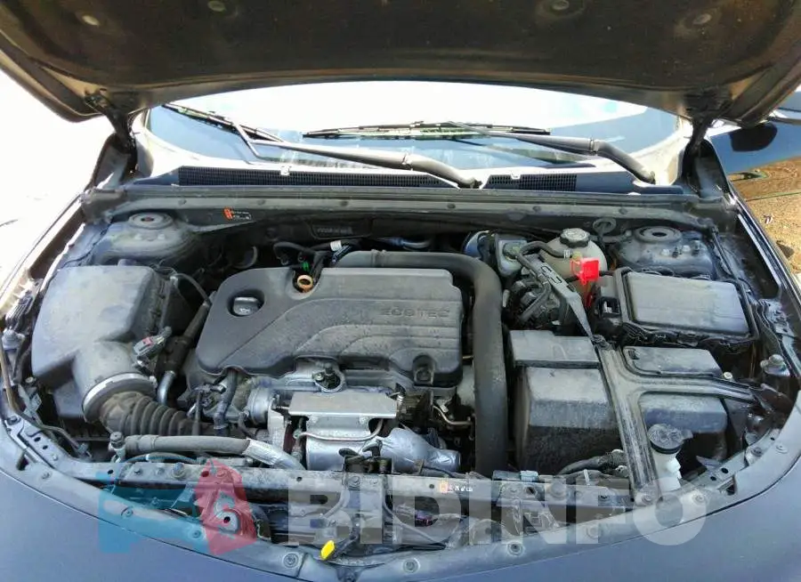 1G1ZD5ST1KF166312 Photo# 10
